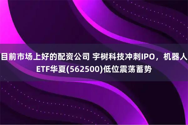目前市场上好的配资公司 宇树科技冲刺IPO,机器人ETF华夏(562500)低位震荡蓄势