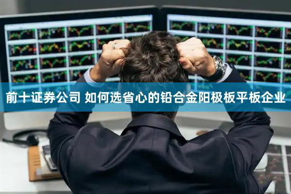 前十证券公司 如何选省心的铅合金阳极板平板企业