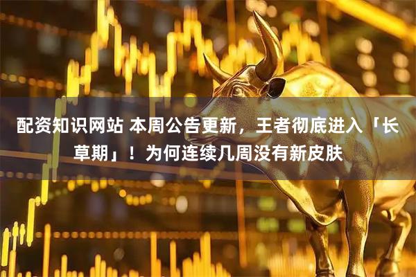 配资知识网站 本周公告更新，王者彻底进入「长草期」！为何连续几周没有新皮肤